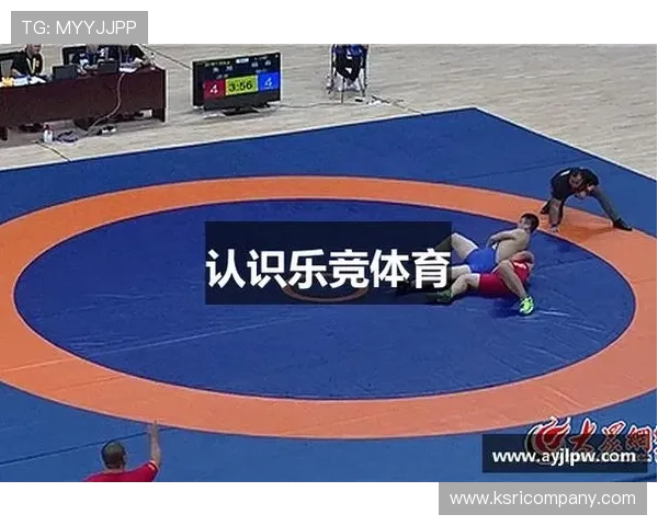 在百度百科中查看乐竞体育的合作伙伴关系与行业影响力